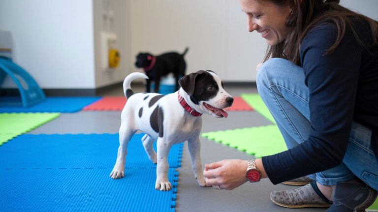Puppy Potty Training Classes: Joyful Local Options